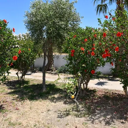 Kos Olympia Apartments At Lambi Beach 公寓 科斯镇